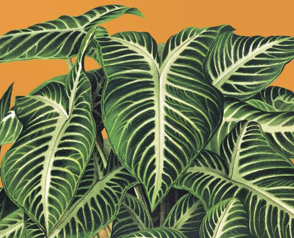 Verdant leaves highlight botanical design for Festival di Spoleto poster