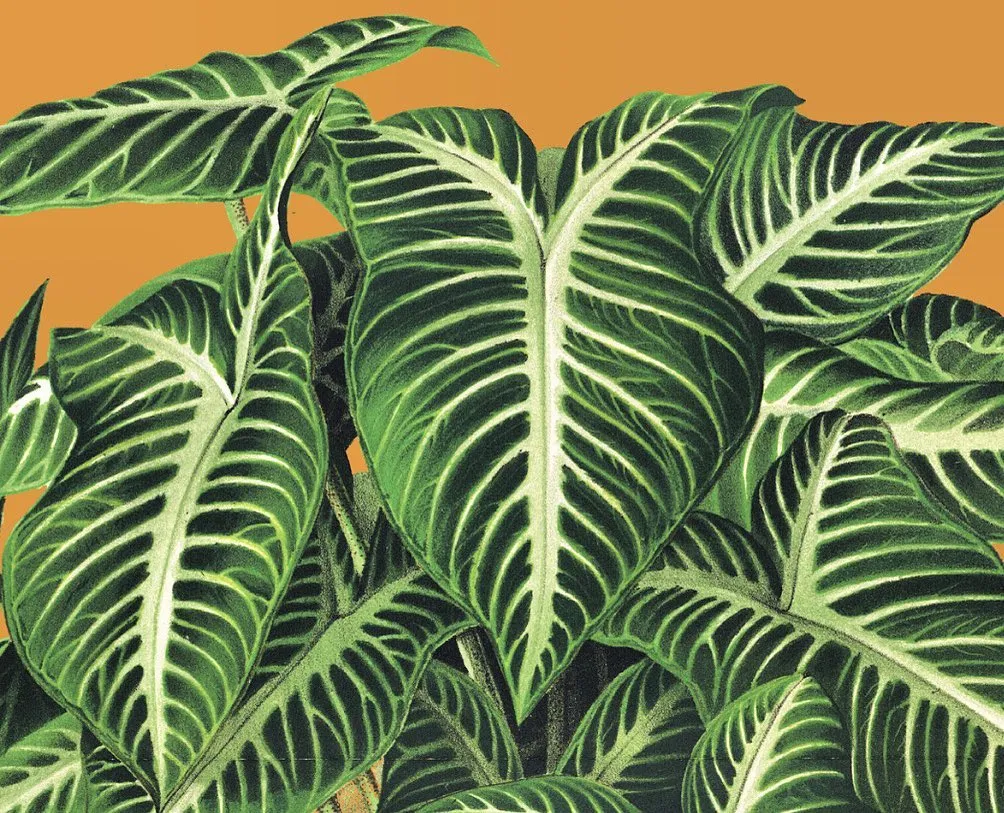 Foglie verdi vellutate al Festival di Spoleto, natura artistica