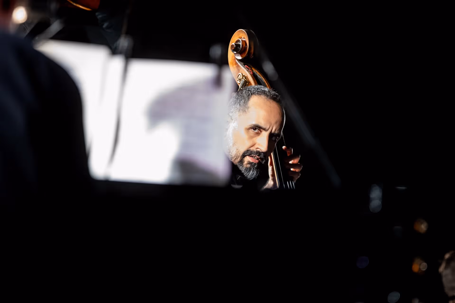 Cellist performing at Festival di Spoleto, intense musical moment captured