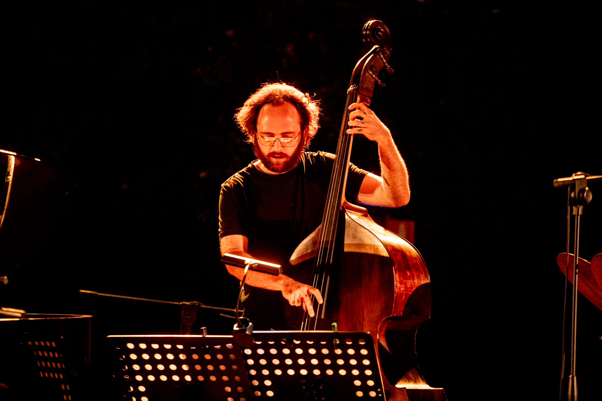 Double bass performer at Festival di Spoleto, bathed in warm stage lighting