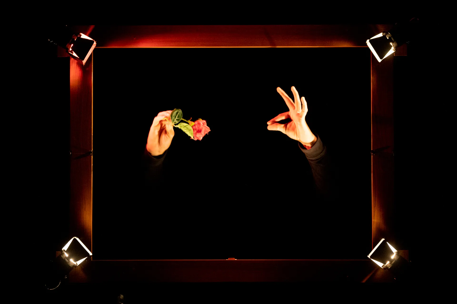 Festival di Spoleto performance art, hands framing rose against dark stage