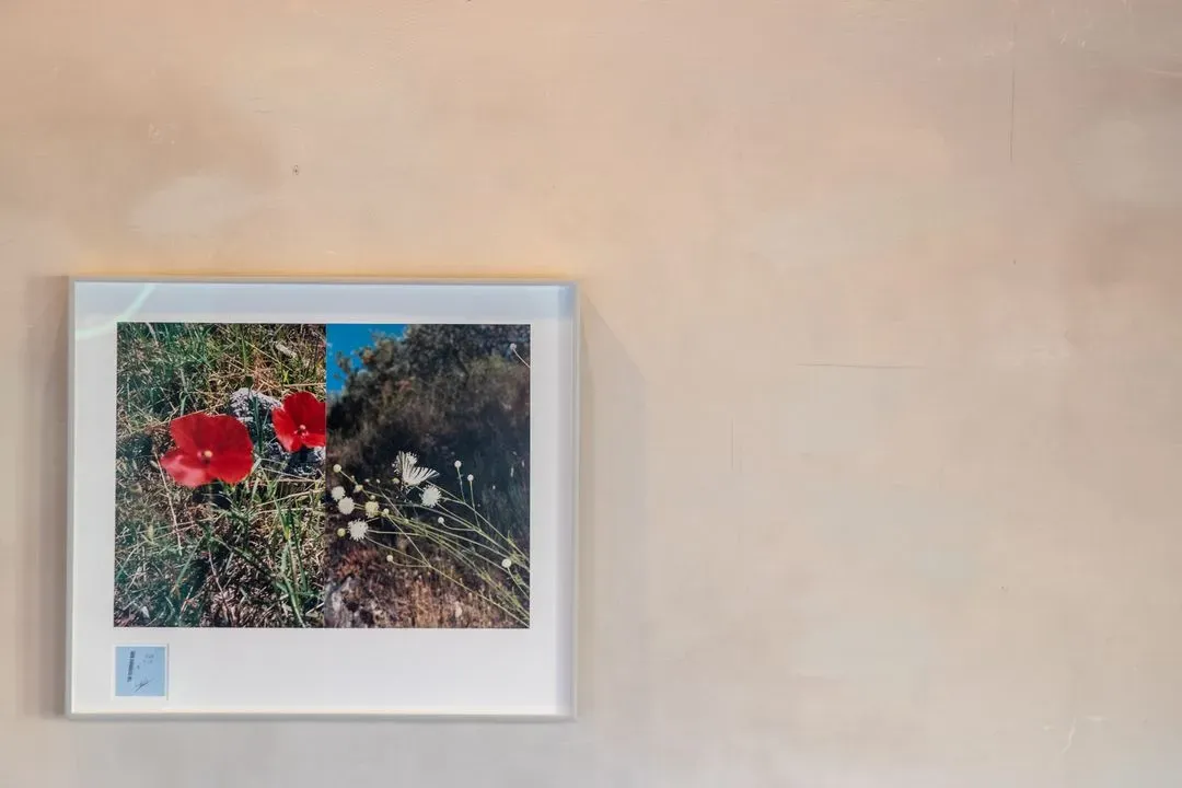 Festival di Spoleto exhibition featuring vibrant red poppies and delicate white wildflowers
