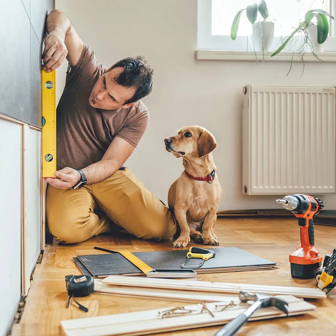 man completing DIY project of putting up wall panels while cute dog watches him