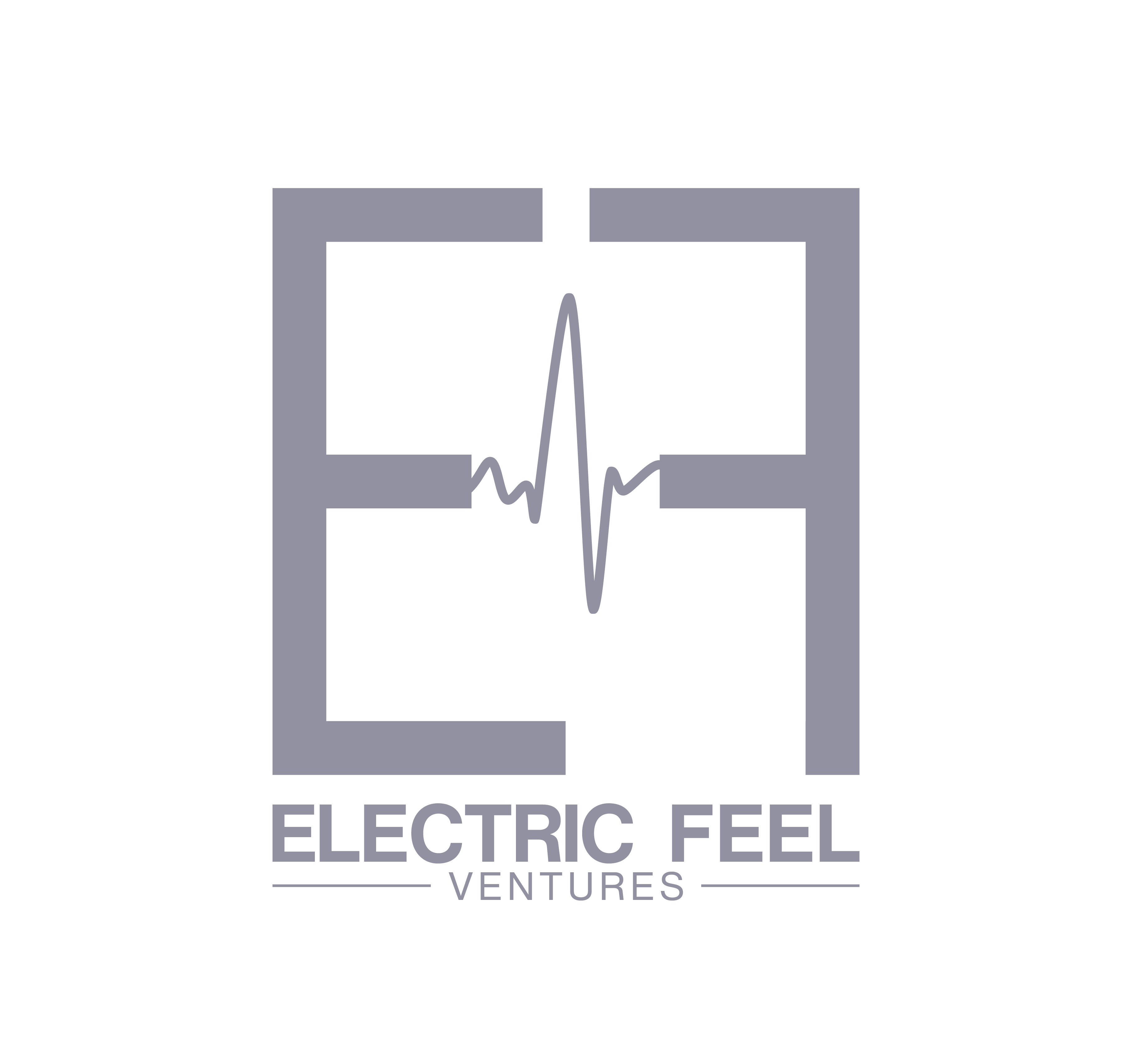 Electric Feel Ventures