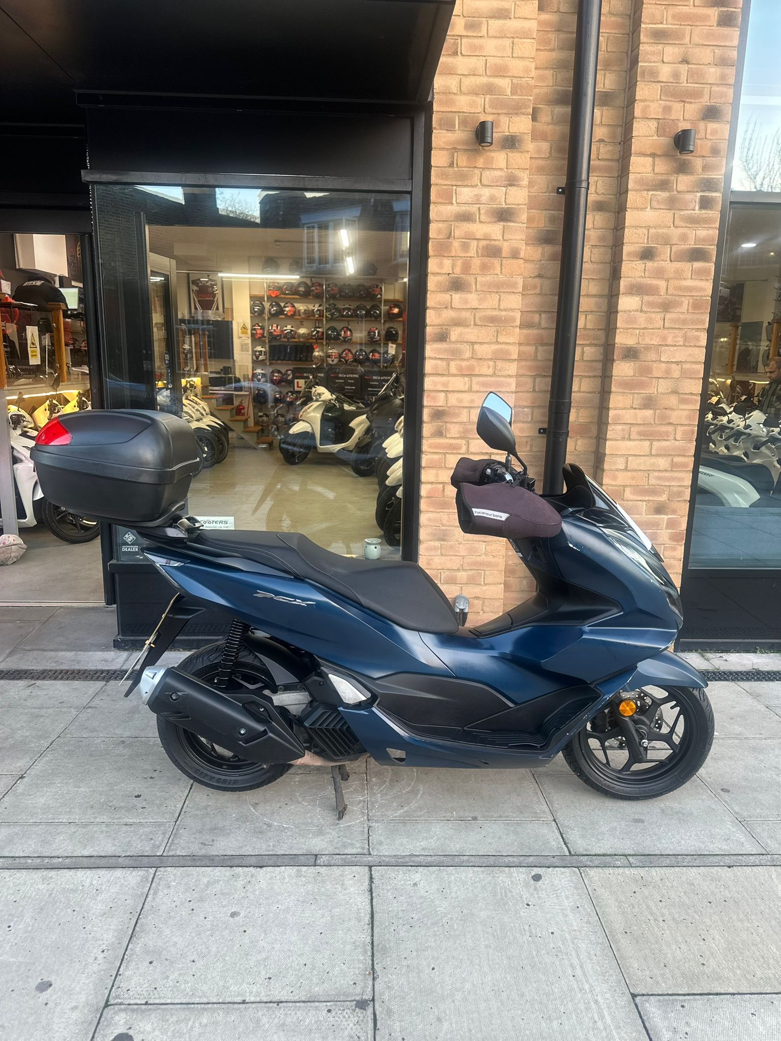 2023 HONDA PCX  (XGL)                     