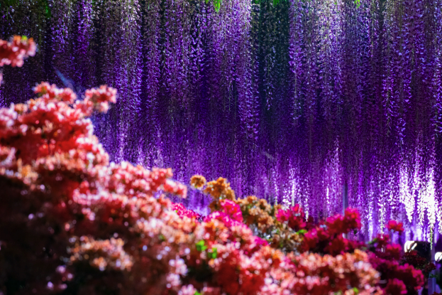 Un possible jardin, hommage contemporain à Claude Monet 