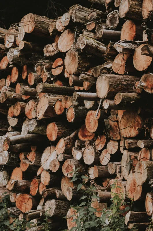 Wood
