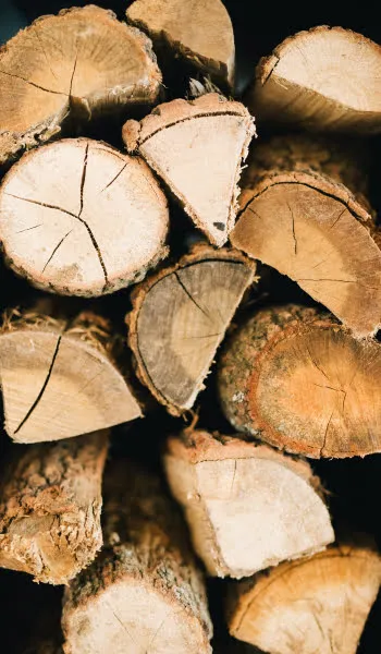 Wood