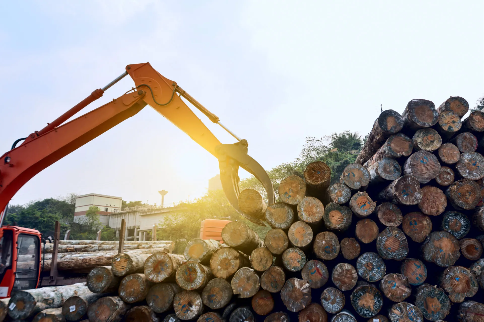 Wood