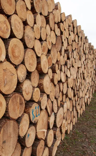 Wood
