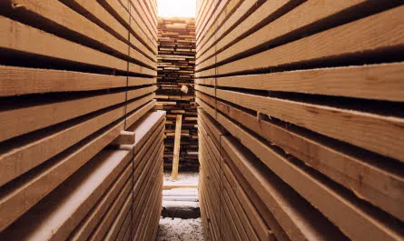 Wood
