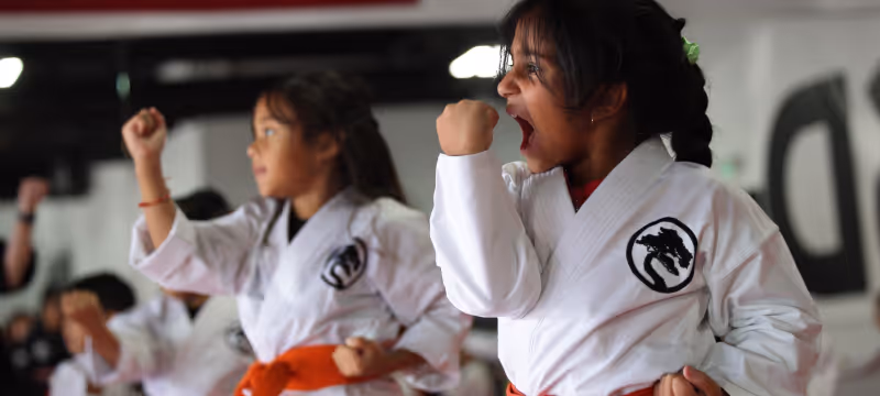A group of elementary-age students are yelling while they practice their blocking system in karate class.