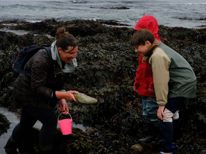 Bioblitz volunteer helping young rock pooler to identify a discovery 