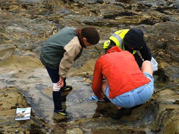 Rock pooler handling a crab