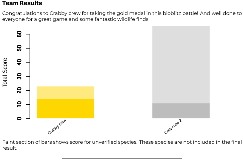 Bar chart displaying the points of each team in the Bioblitz