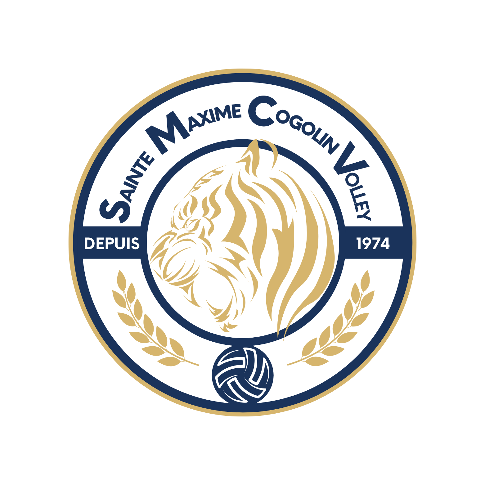 Volley Ball Sainte Maxime Logo