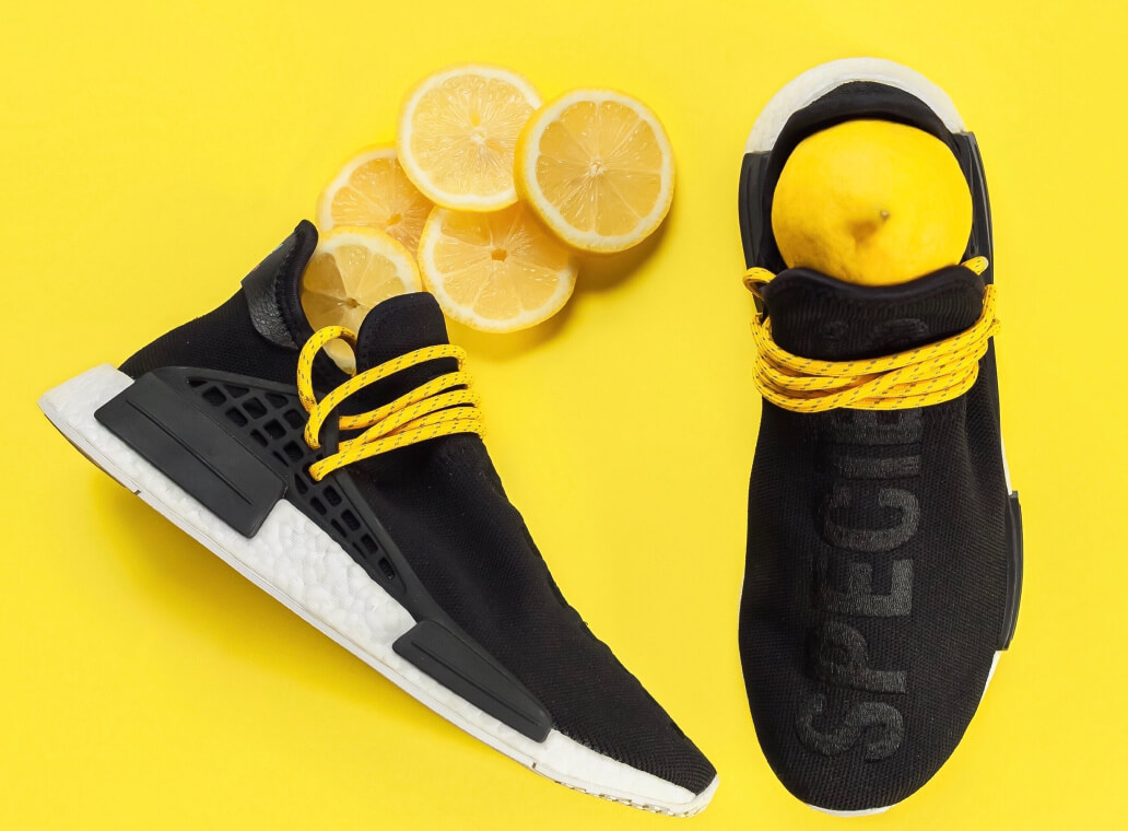 License - Portfolio X Webflow Template