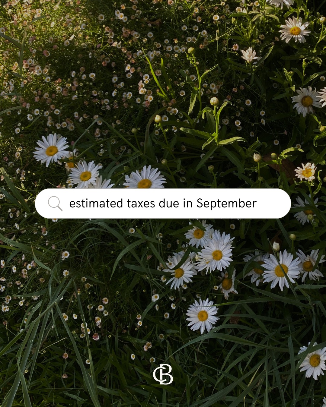 Coyne Bookkeeping instagram
