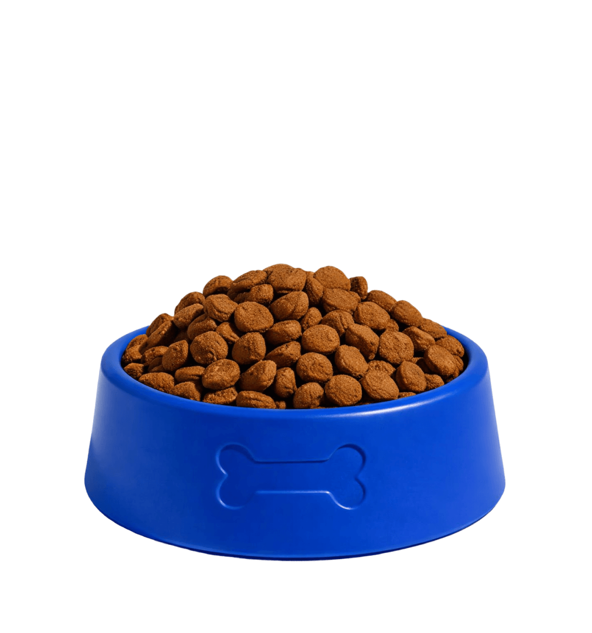 Blue dog bowl filled with brown dry dog food kibbles.