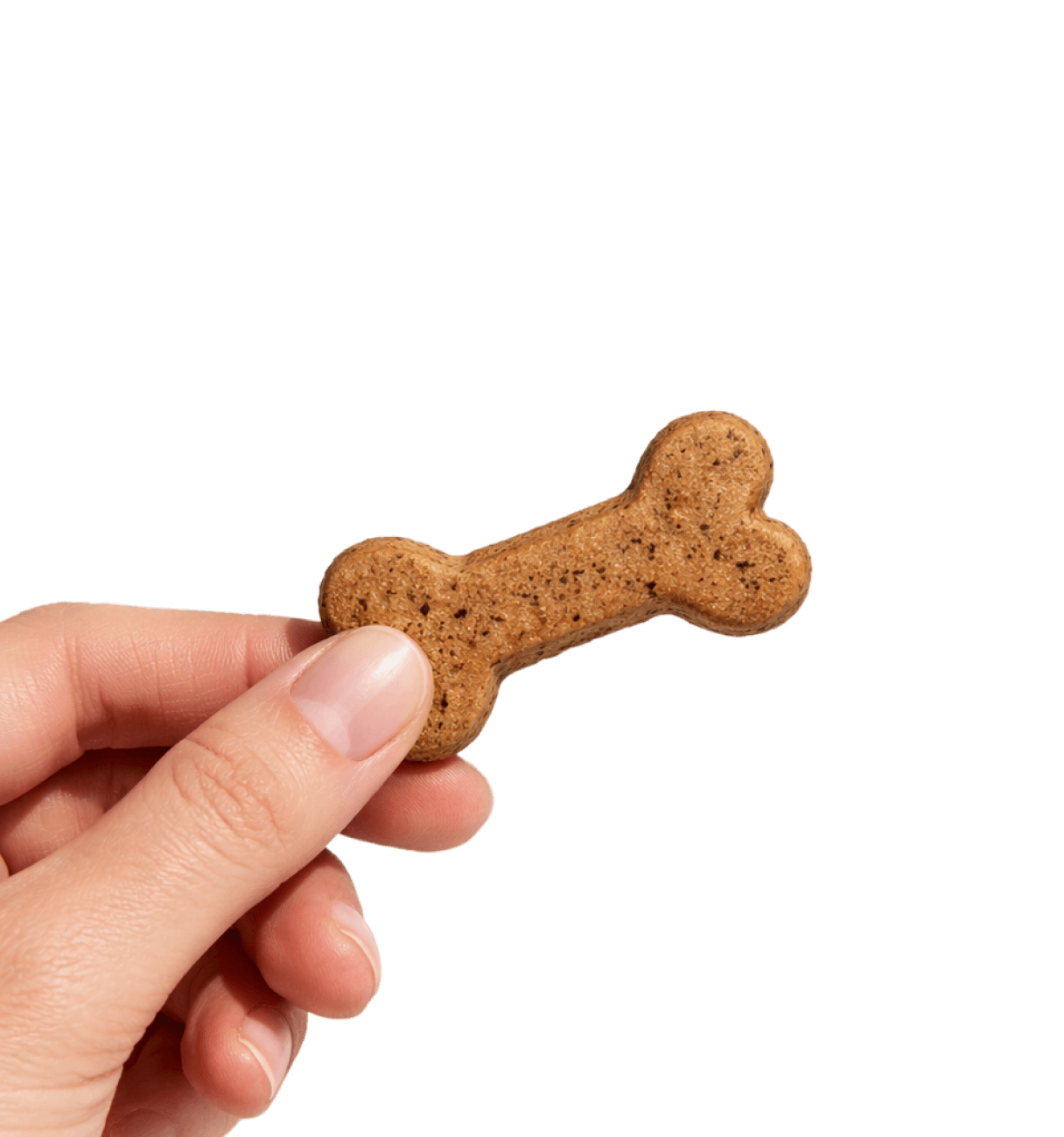 Hand holding a bone-shaped dog biscuit treat on a black background.