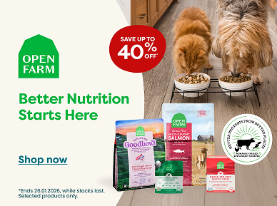 Back to school promotion with special offers