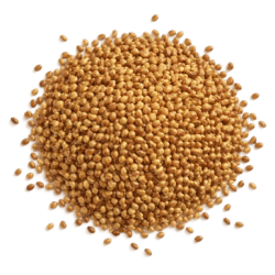 Pile of small, round, golden-brown alfalfa seed with a dry, smooth texture on a plain background
