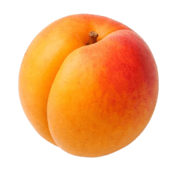 Ripe apricot with smooth orange-yellow skin and a touch of red blush, whole and fresh on a plain background