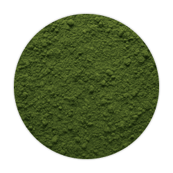 Fine green macroalgae powder with a vibrant green colour and slightly coarse texture, suitable for dog supplements