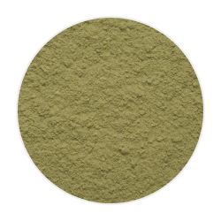 Finely ground, light green rosemary leaf powder with a soft, dry texture, used in natural dog supplements