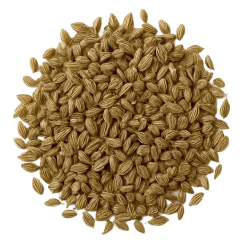 Pile of light brown, oval celery seed with ridged texture, commonly used in dog health supplements