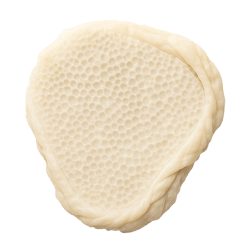 Pale beef washed tripe with honeycomb texture and braided edge displayed on a plain background