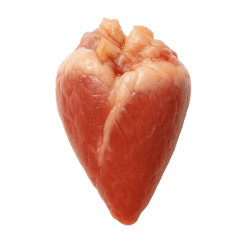 Fresh raw salmon heart with firm, glossy texture and pinkish-red colour, ideal as a nutritious dog treat or food ingredient