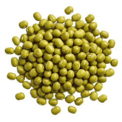 Pile of small, round green mung beans with a glossy texture scattered on a plain background