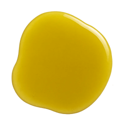 Golden yellow Camelina Oil in a smooth, glossy puddle on a plain background, highlighting its rich texture