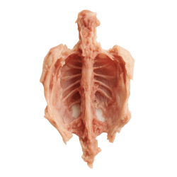 Raw chicken carcass with exposed rib bones and pink flesh, commonly used as a natural ingredient in dog food