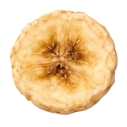 Round slice of dried banana with golden yellow colour, chewy texture, and a brown centre, suitable for dog treats