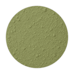 Fine green Ginkgo Biloba powder with a soft, slightly clumpy texture, used in natural dog supplements