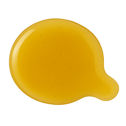 Golden yellow wheat germ oil with a smooth, glossy texture forms a small puddle on a clean white background