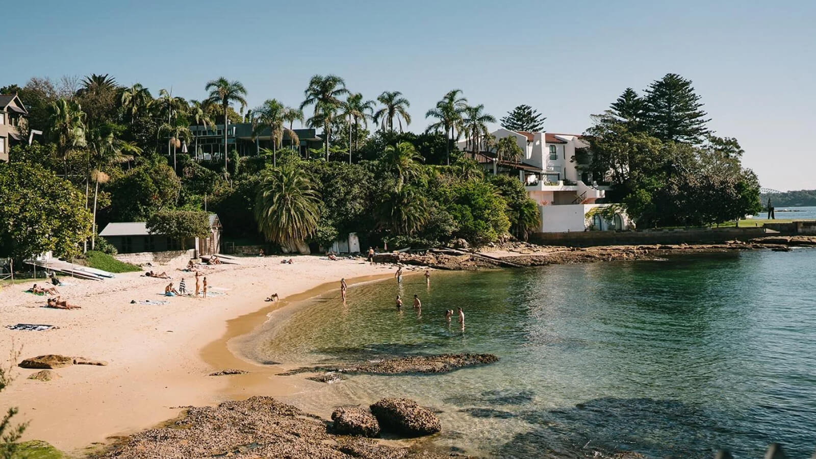 Kutti Beach in Vaucluse — a beloved harbour inlet that was once one of Sydney's few dog-friendly beaches in the eastern suburbs. Image Credit Places We Swim