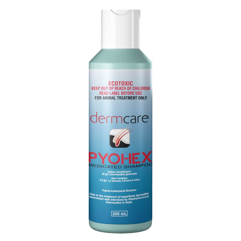 Pyohex® Medicated Shampoo