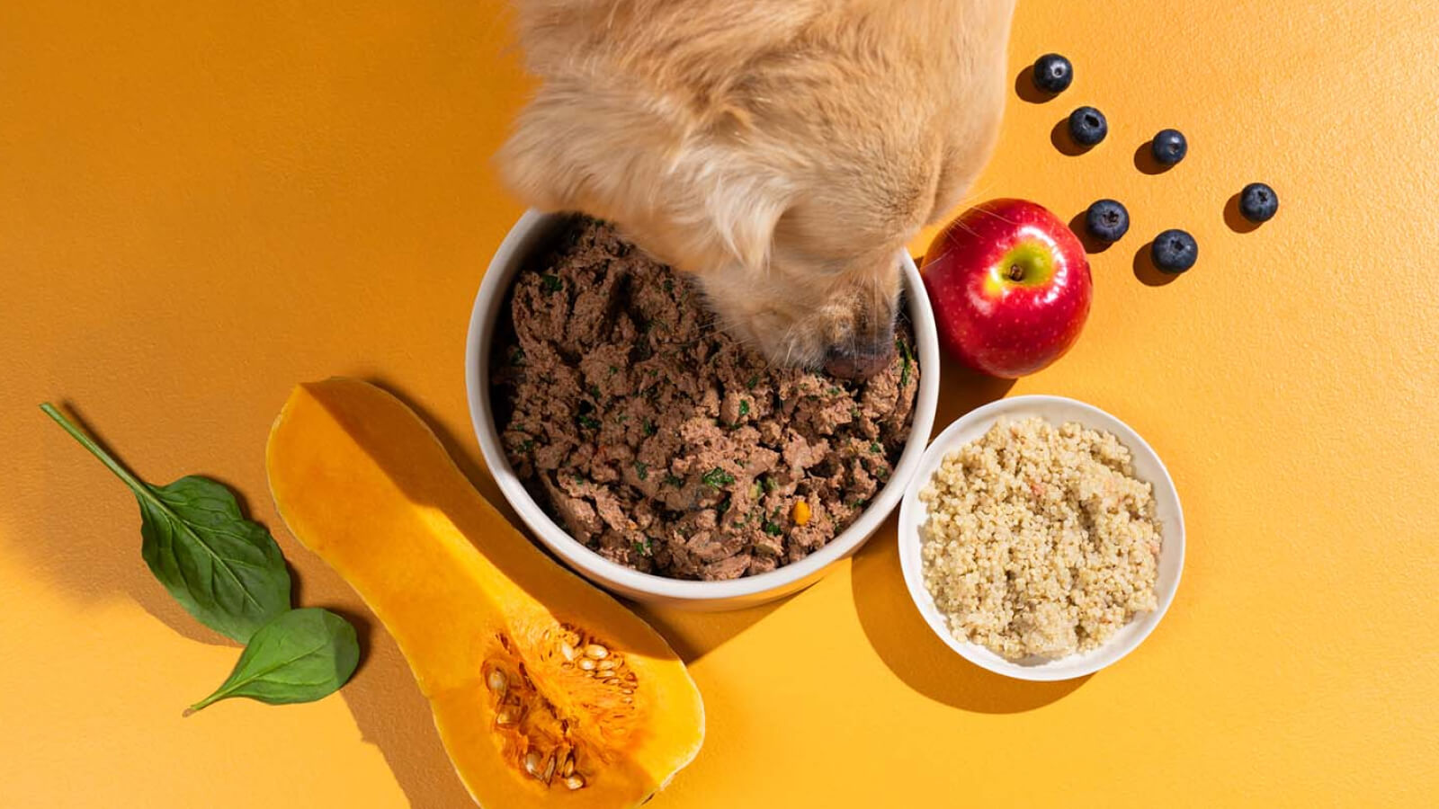 Fresh dog food works for most healthy dogs at any life stage, but certain dogs benefit noticeably more than others. Image Credit: 5 Hounds