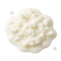 Creamy white goat milk kefir with a thick, slightly lumpy texture, served as a dollop on a plain background