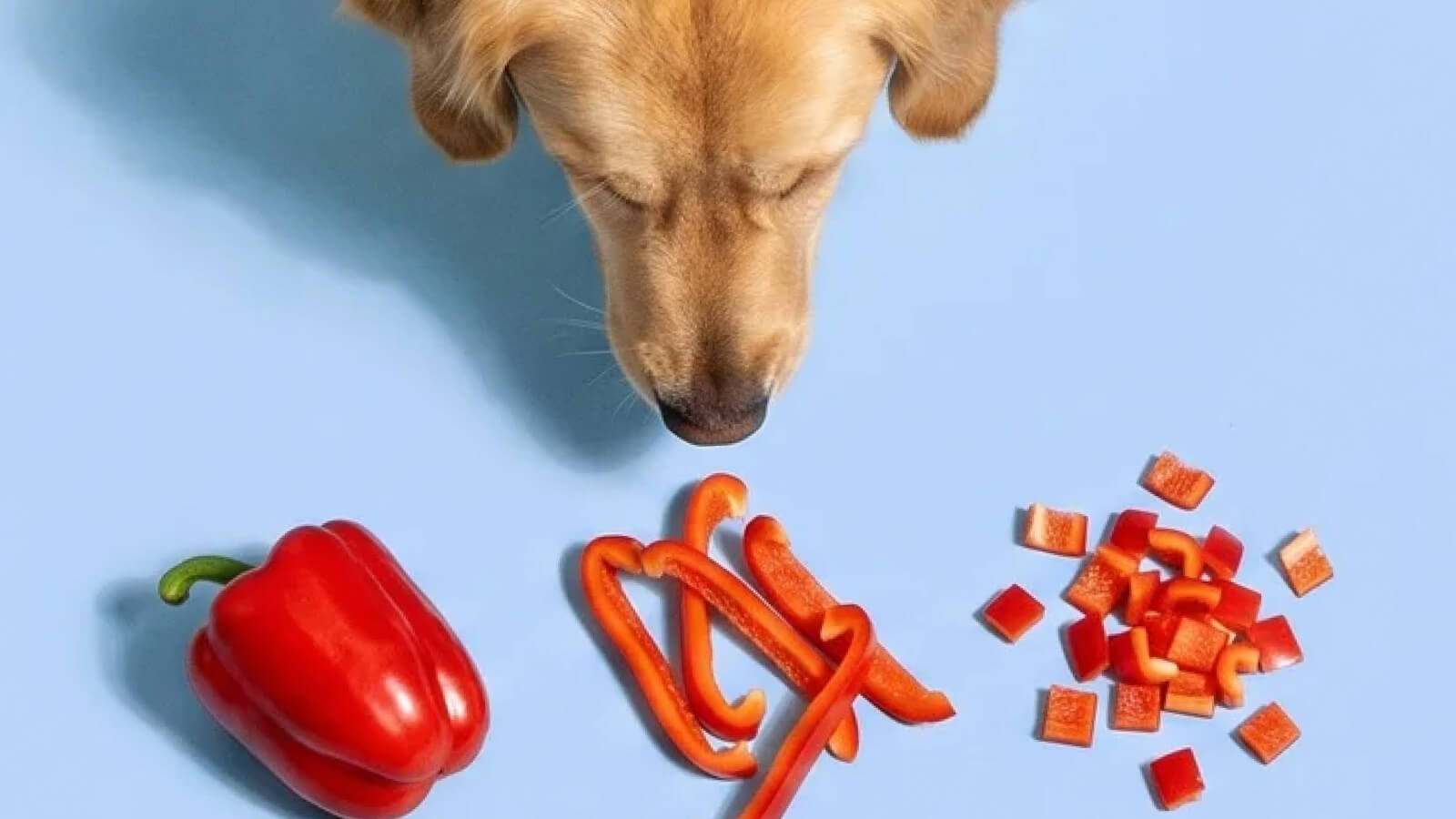 A few pieces as a treat or mixed into their food is plenty. There's no need to serve large amounts.