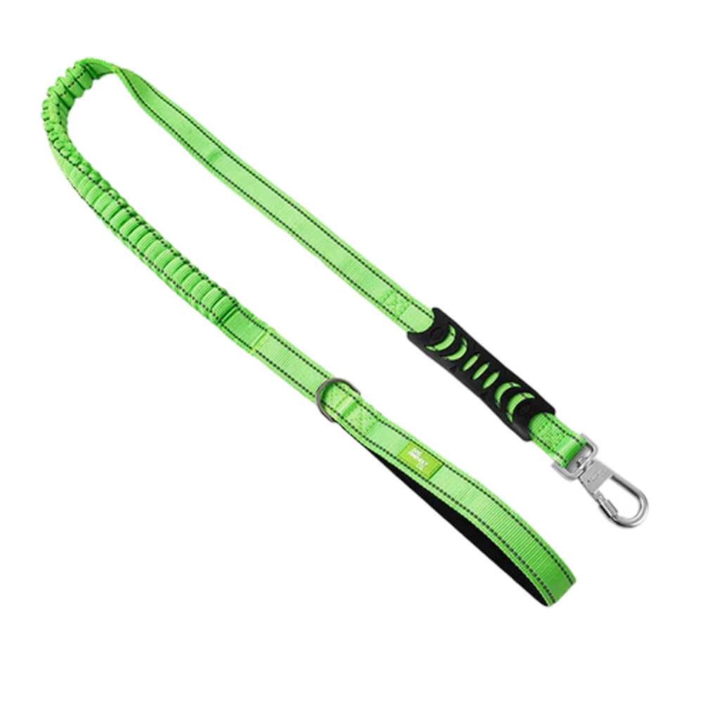 Bungee Dog Leash — Neon Green
