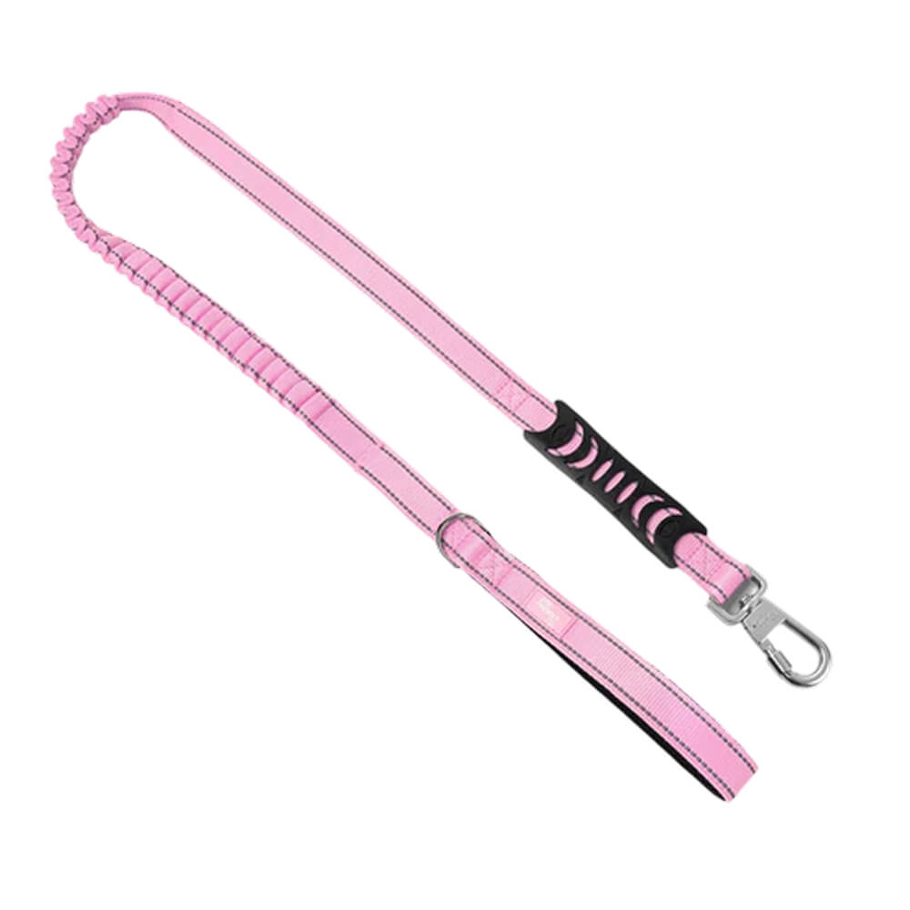 Bungee Dog Leash — Pink