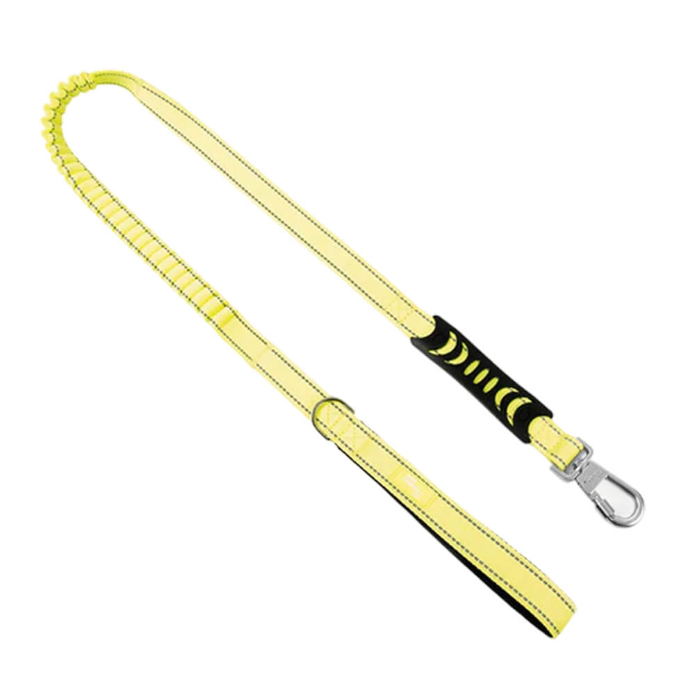 Bungee Dog Leash — Yellow