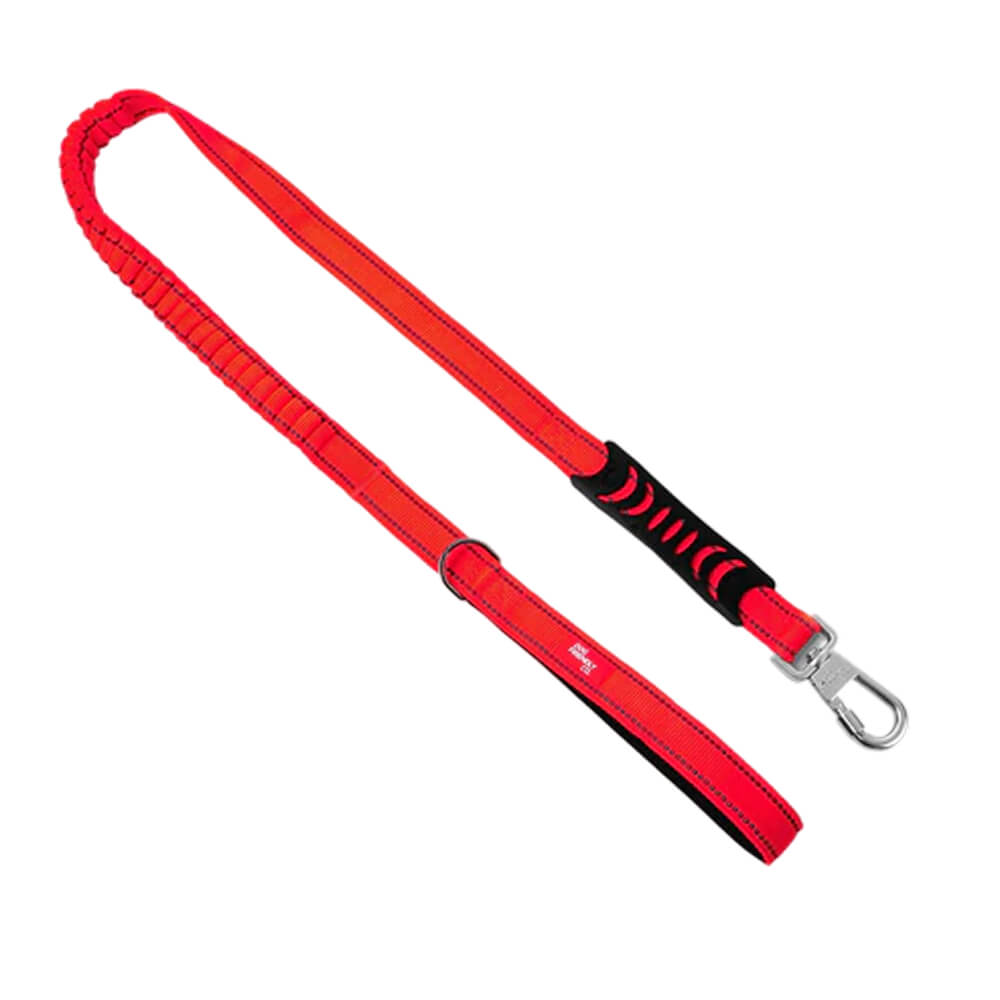 Bungee Dog Leash — Red