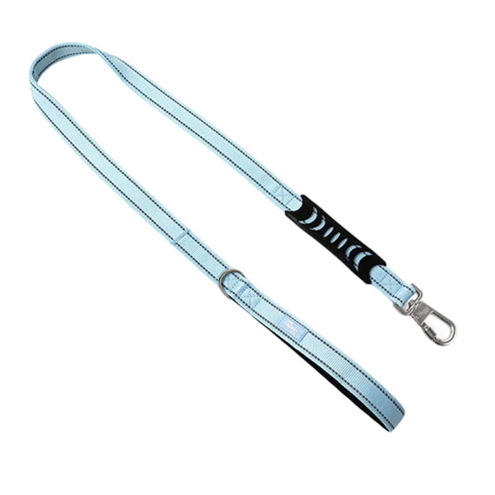 Classic Dog Leash — Sky Blue