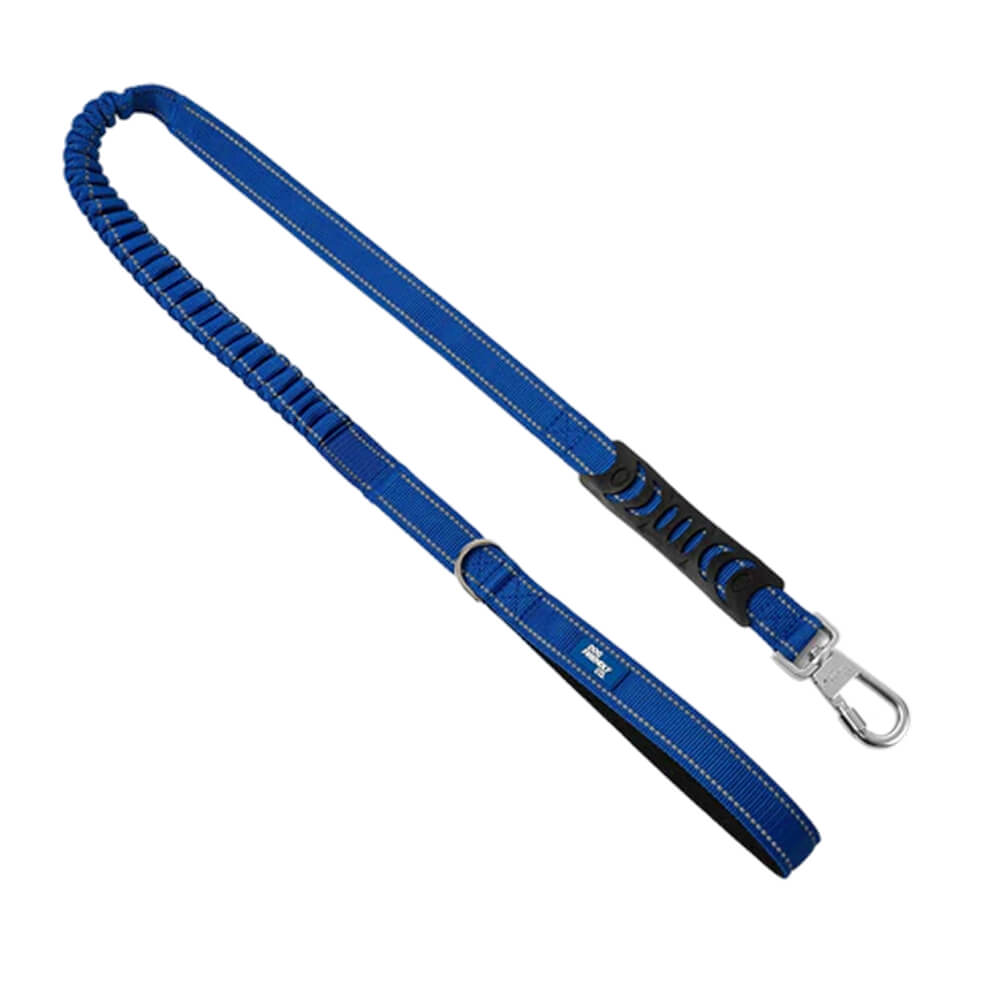 Bungee Dog Leash — Classic Blue
