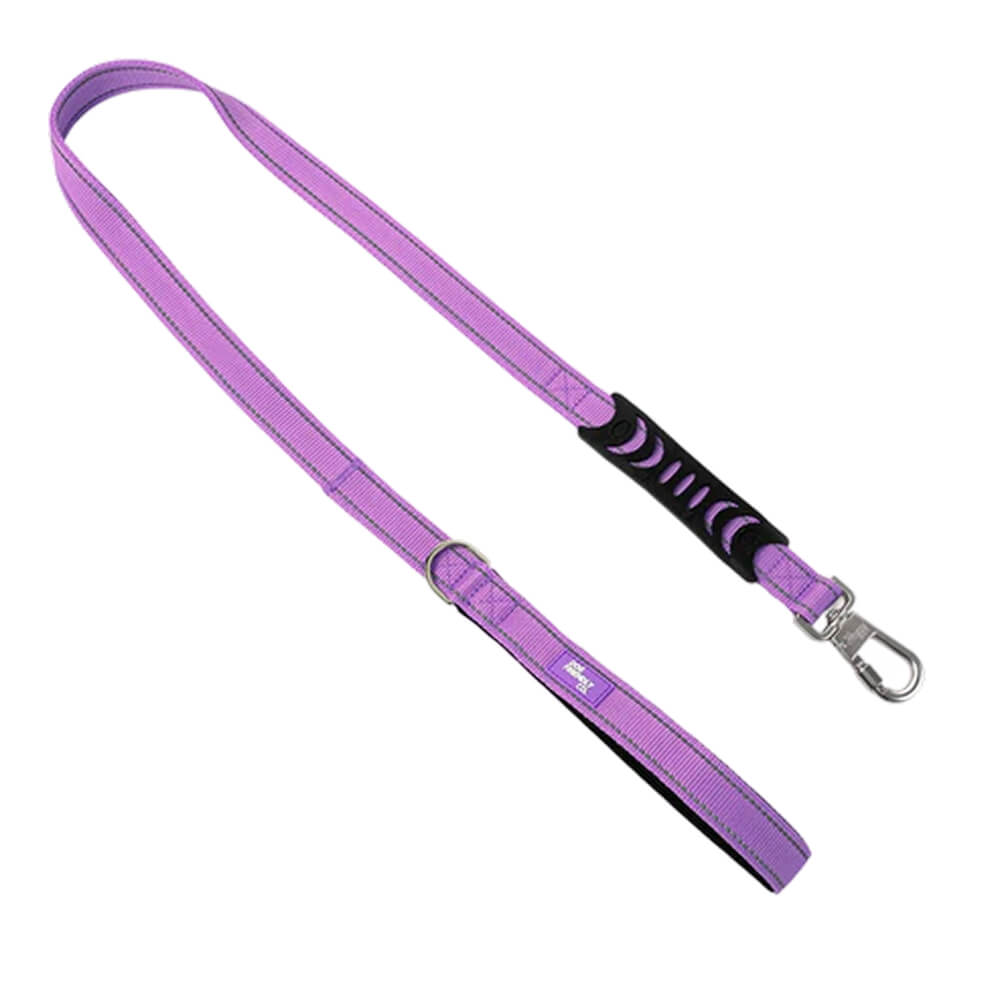 Classic Dog Leash — Purple